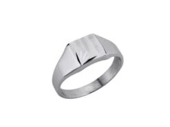 Saunier Arg. | Chevalière | Argent | 1000294 11