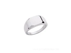 Saunier Arg. | Chevalière | Argent | 7026742 11