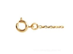 Saunier Arg. | Chaîne | Plaqué Or | 0.9mm | 8101040 01