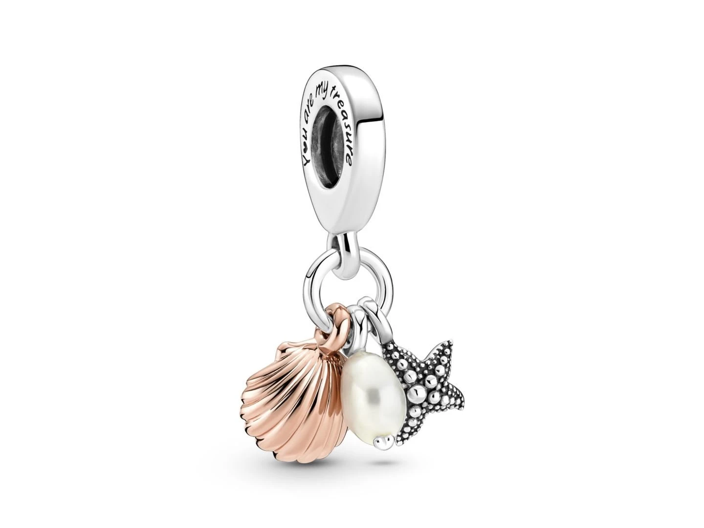 Pandora | Charm | Étoile De Mer & Coquillage | 781690C01
