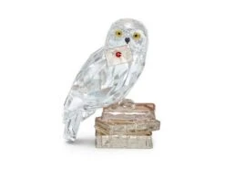 Swarovski | Décoration | Harry Potter & Hedwig | 5585969