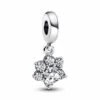 Pandora | Charm | Empreinte De Patte D'Animal De Compagnie | 792247C01